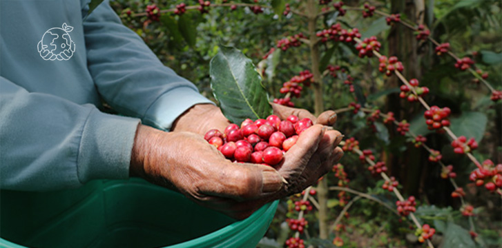 R13